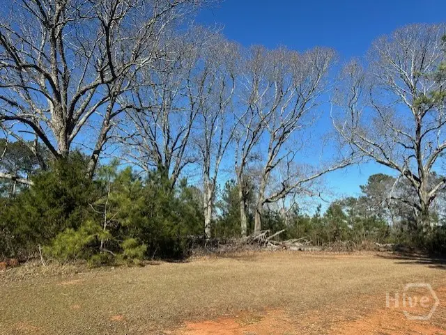 3511 New High Shoals Road, Bishop, GA 30621 - #2