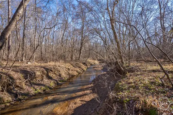 0 Lower Harmony, Eatonton, GA 31024