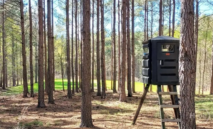 2285 Cherokee Road, Comer, GA 30629 - Image #2