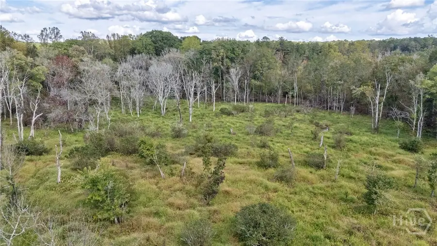 0 Old Salem Rd #Tract 3, Watkinsville, GA 30677 - #3