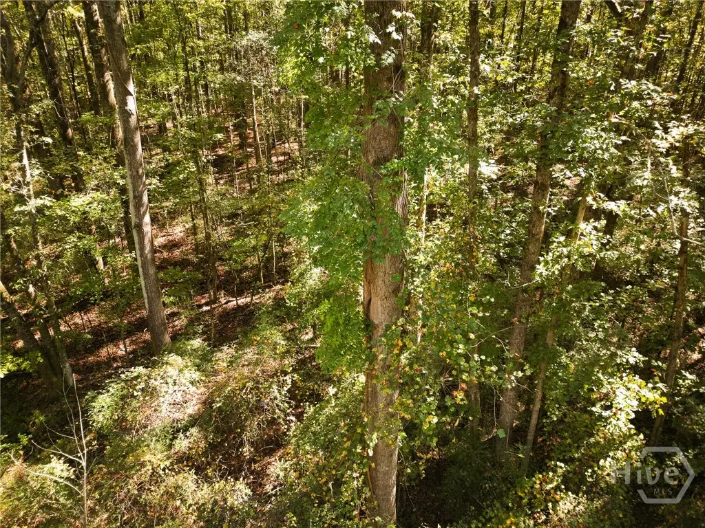 1092 Cooper Gin Road, Statham, GA 30666 - Image #1