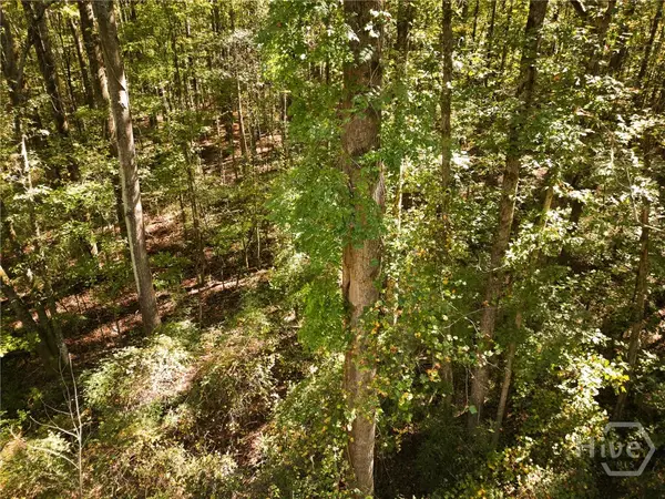 1092 Cooper Gin Road, Statham, GA 30666