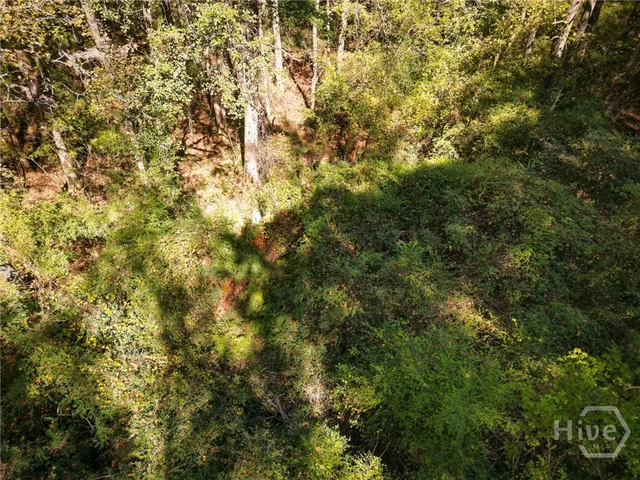 1092 Cooper Gin Road, Statham, GA 30666 - Image #2