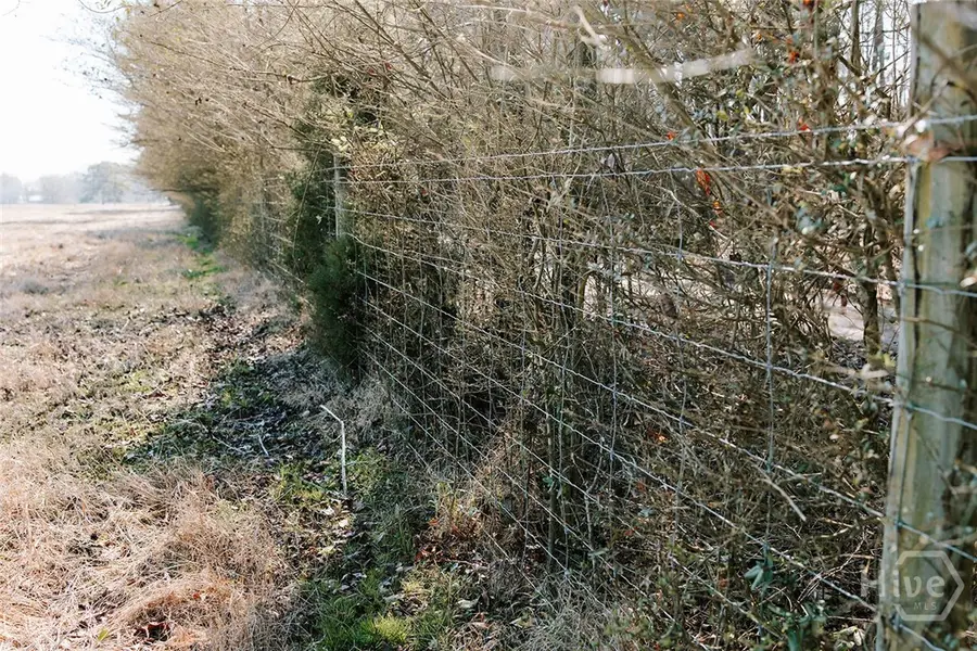 0 Lovers Lane, Stephens, GA 30667 - #2