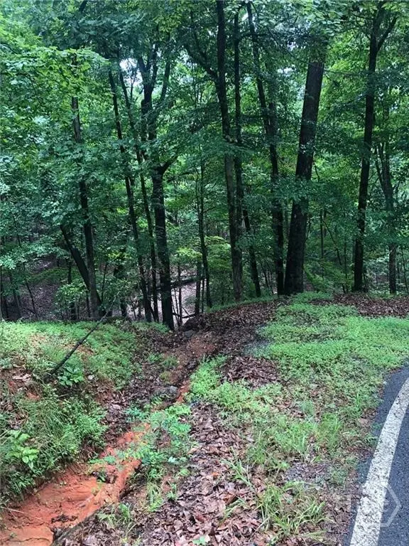 6055 Crested Iris Circle, Jasper, GA 30143 - #3