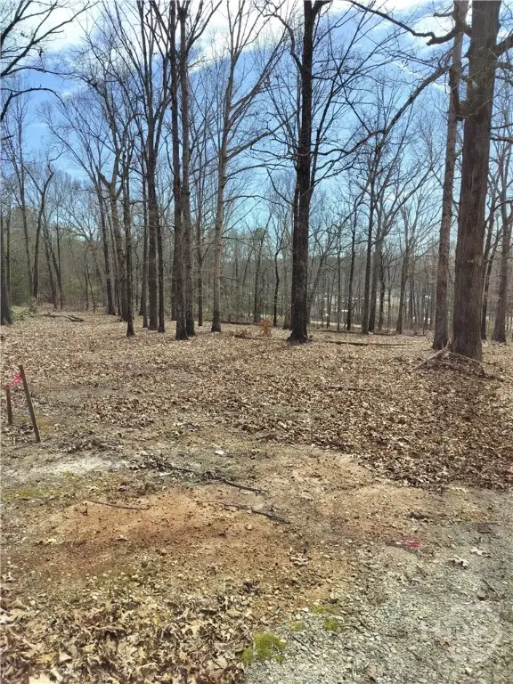 0 Hickory Log Circle, Eastanollee, GA 30538 - #2