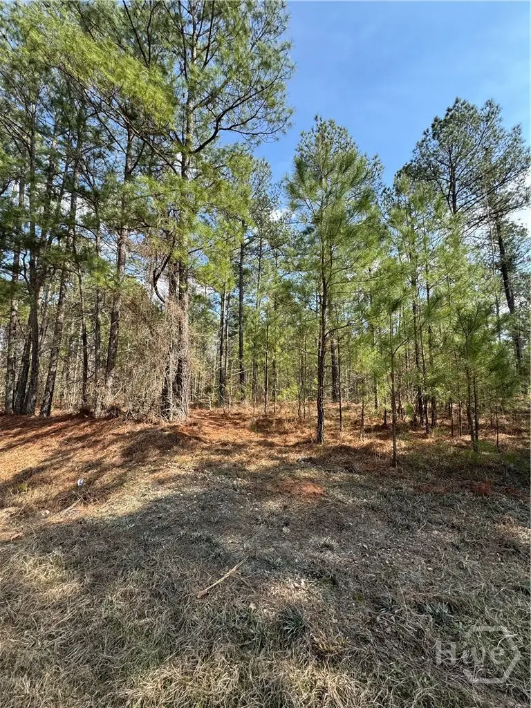 0 Anthony Shoals Road, Tignall, GA 30668 - #3