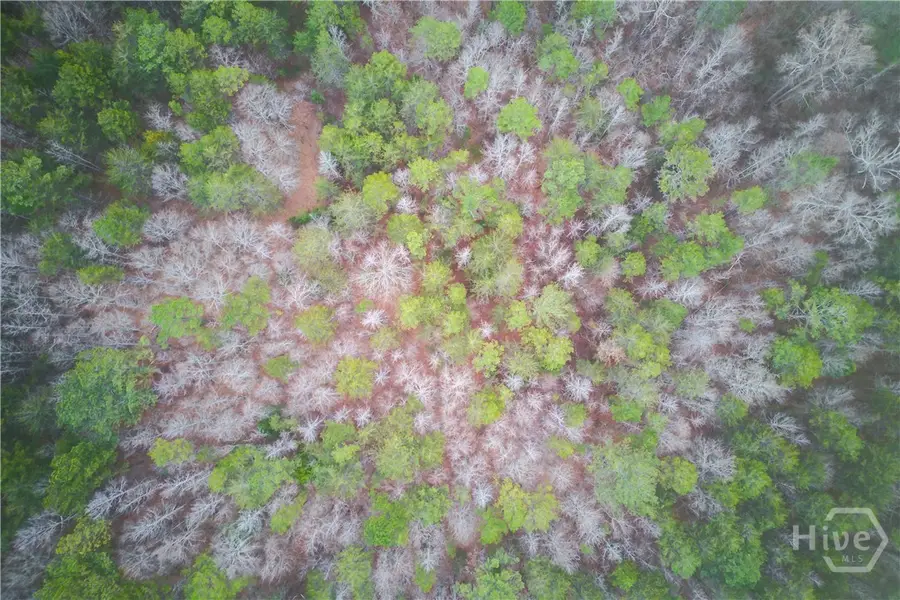 0 Sunshine Church Road Road, Carnesville, GA 30521 - #3