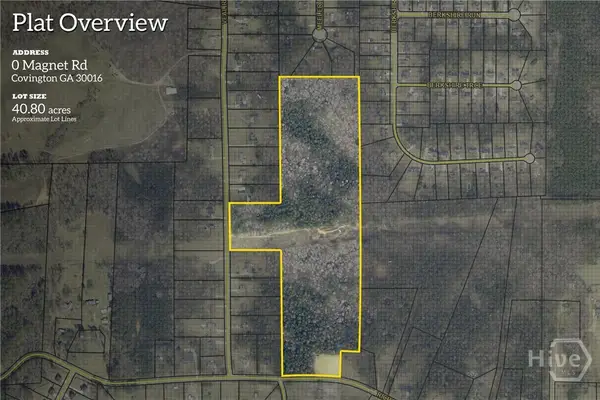 0 Richard's Chapel Road, Covington, GA 30016