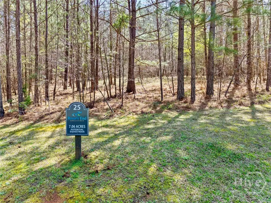 Lot 25 Apalachee Meadows Drive, Madison, GA 30650 - #2