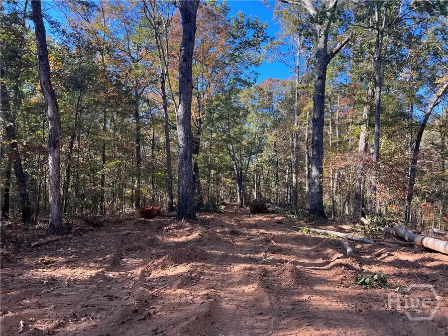 3 Curry Falls Trail Road #3, Athens, GA 30607 - #3