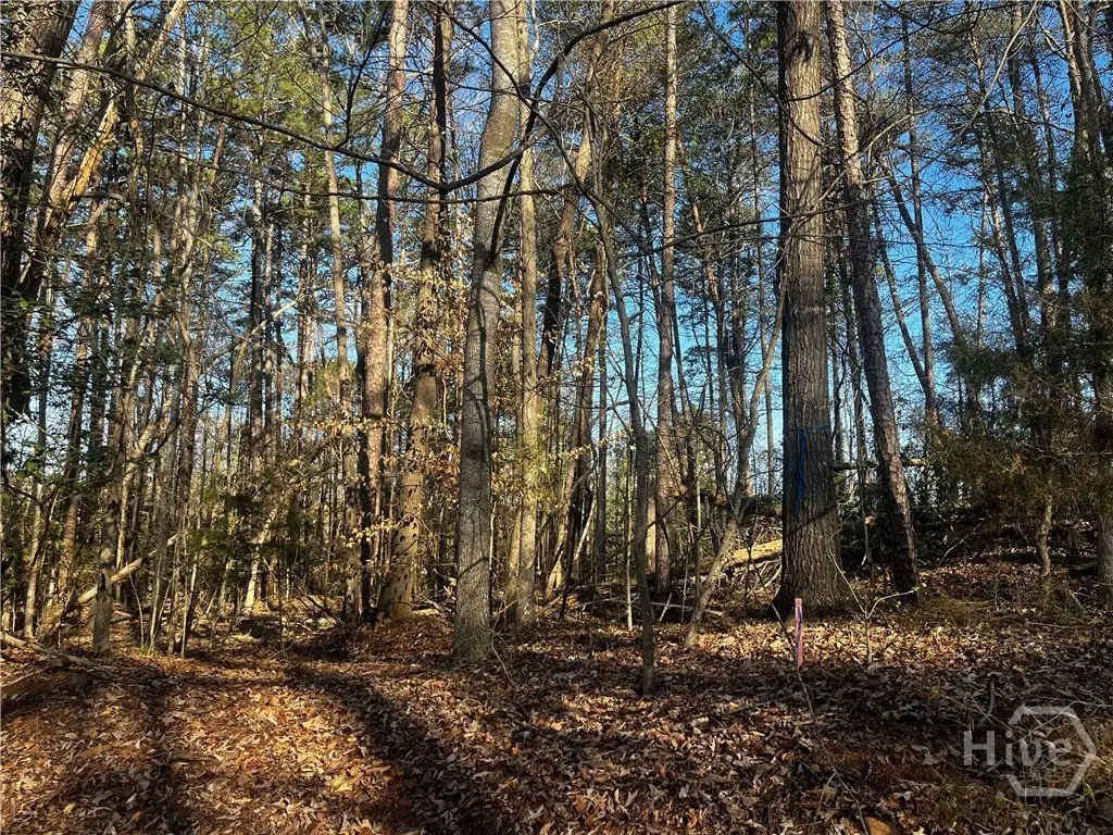 0 Alpine Way, Lavonia, GA 30553 - #1