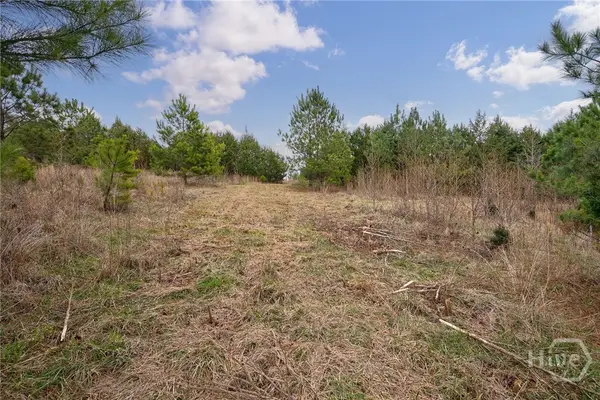 Tract 1-B High Shoals Road, Bishop, GA 30621