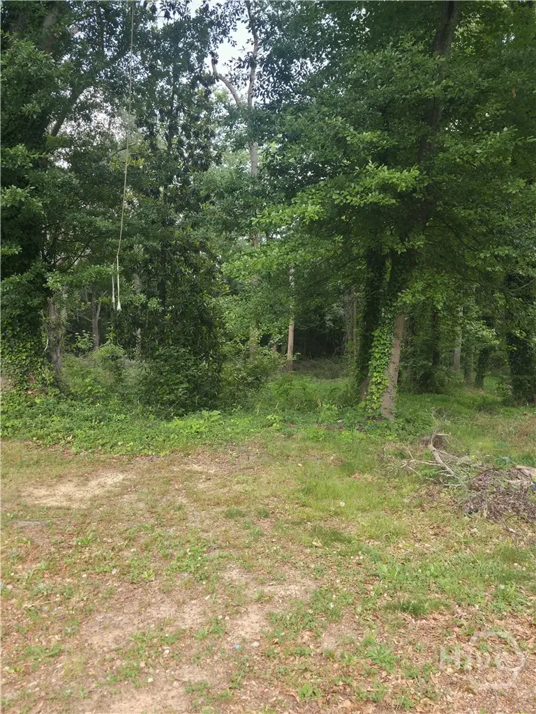 0 Duke Street, Winder, GA 30680 - #2