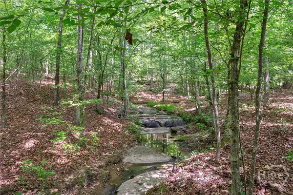 0 Gene Smith Road, Carlton, GA 30627