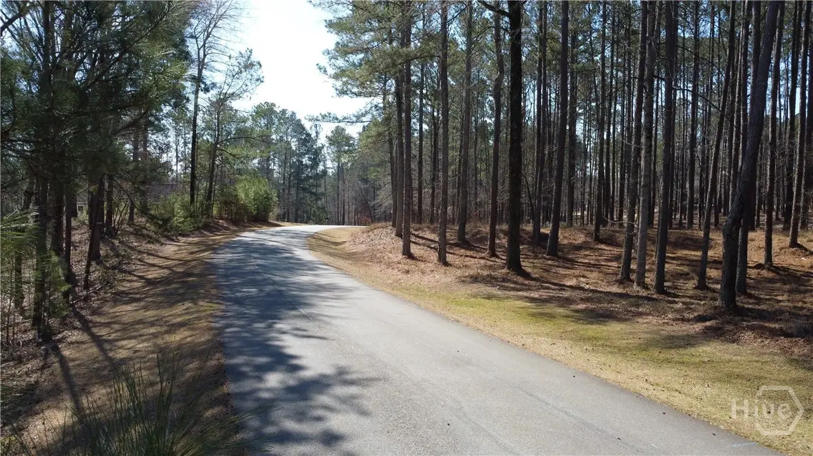 1041 Shadow Creek Way, Greensboro, GA 30642 - #1