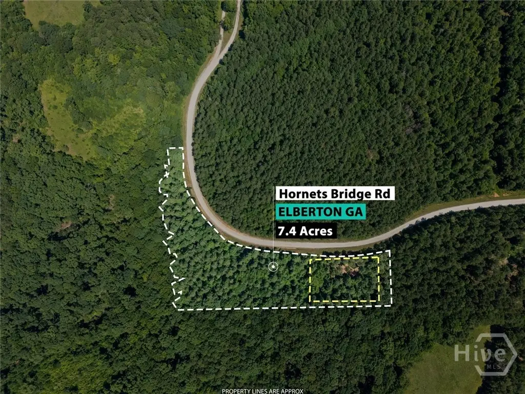 0 Hornets Bridge Road, Elberton, GA 30635 - #1