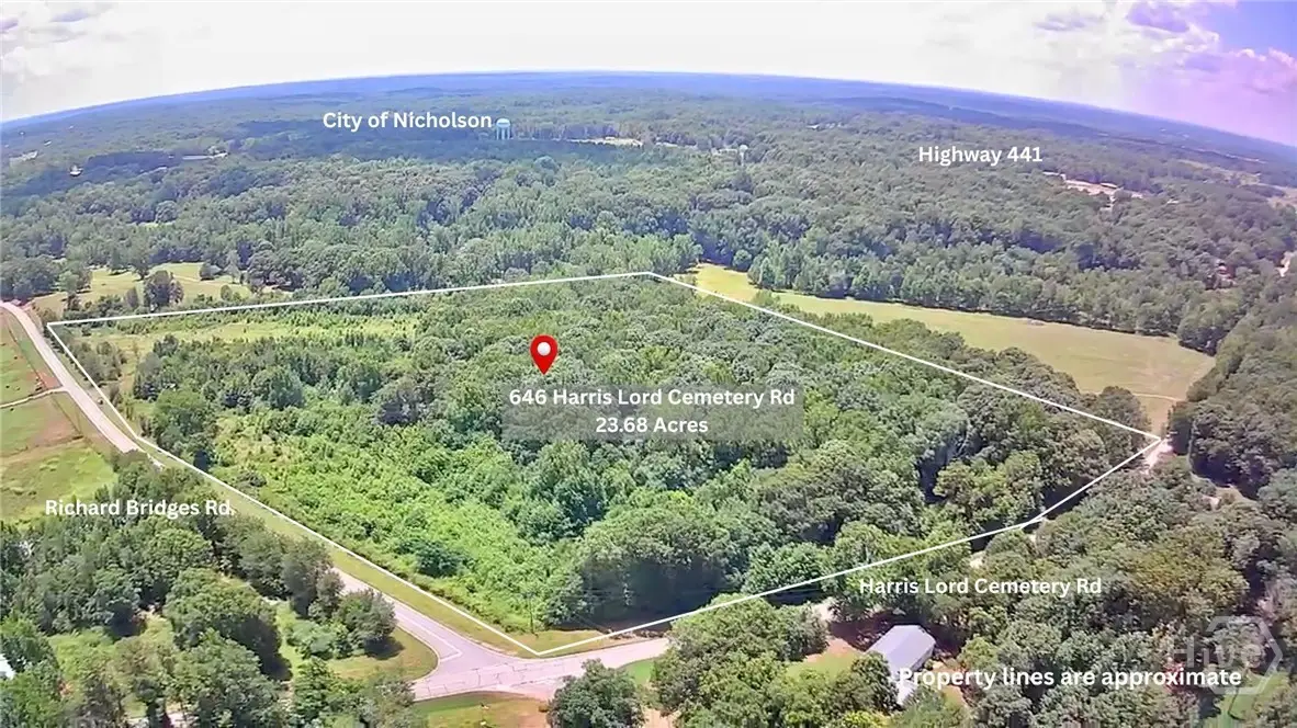 646 Harris Lord Cemetery Road, Commerce, GA 30530 - #1