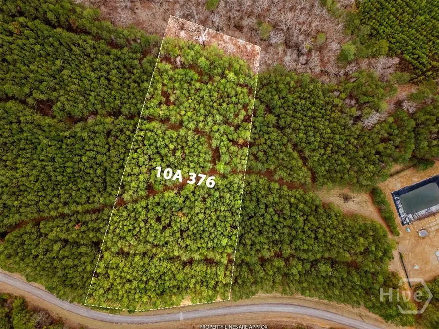 1004 Hesters Ferry Road, Tignall, GA 30668 - #3