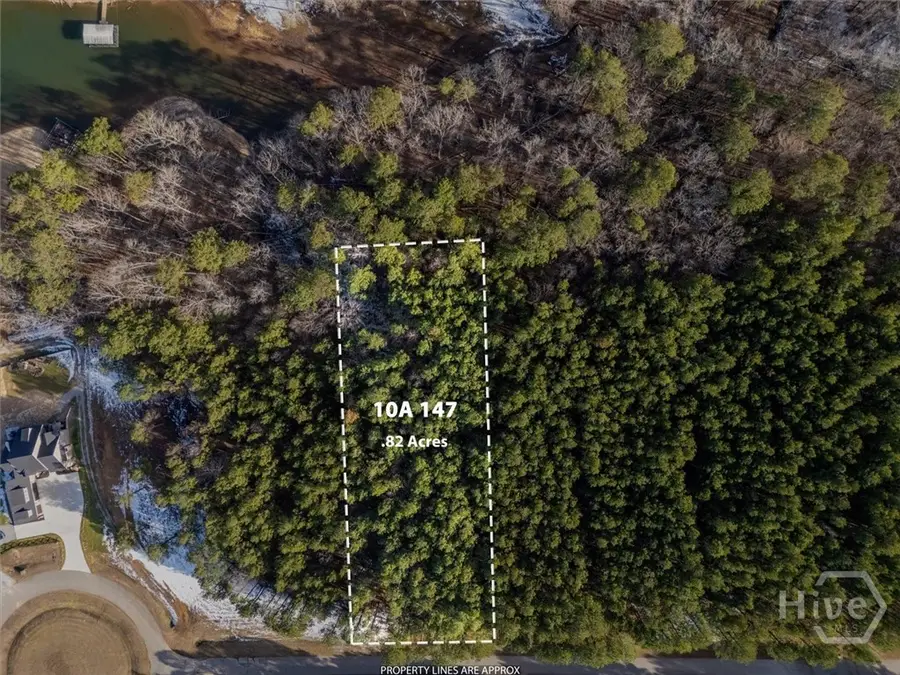 1250 Striper Cove, Tignall, GA 30668 - #3