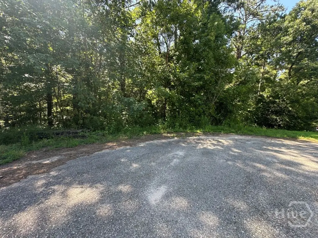 0 River Bend Drive, Carlton, GA 30627 - #1