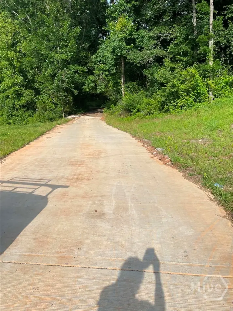 Tract 1 Hwy 29, Royston, GA 30662 - #2