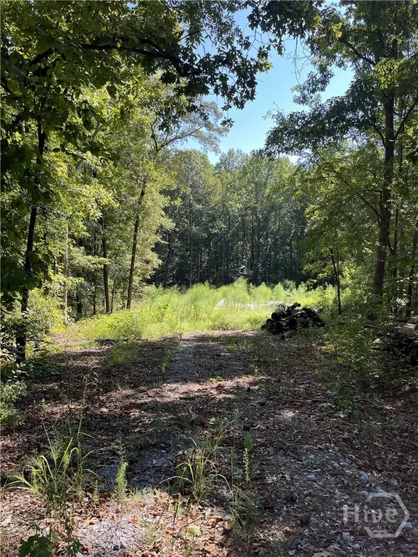 46 Creek Ridge, Winterville, GA 30683