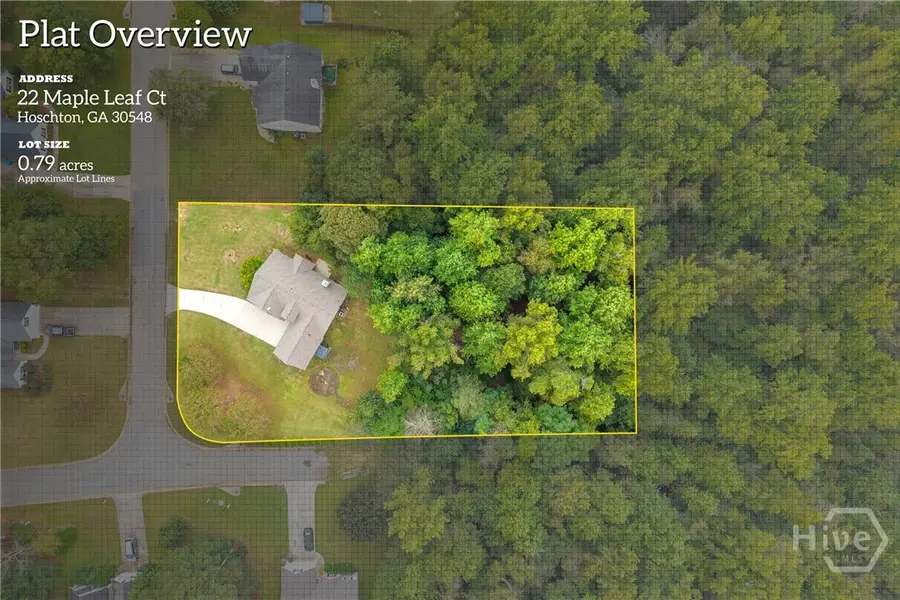 22 Maple Leaf Court, Hoschton, GA 30548 - #3