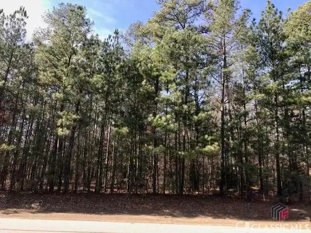 1041 Fairway Ridge Circle, Greensboro, GA 30642 - Image #3