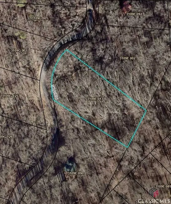0 Skyview Drive, Ellijay, GA 30536 - Image #1