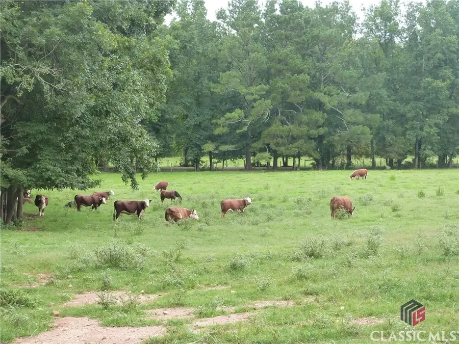 1650 Locklin Cemetery Road, Monroe, GA 30656 - Image #3