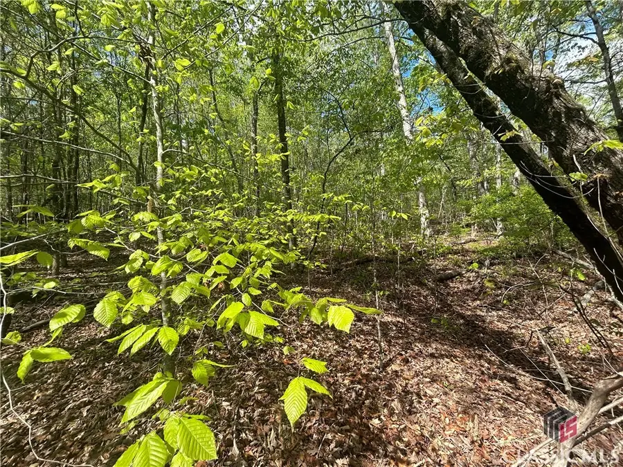 0 Shore Crest Drive #15, Martin, GA 30557 - Image #2