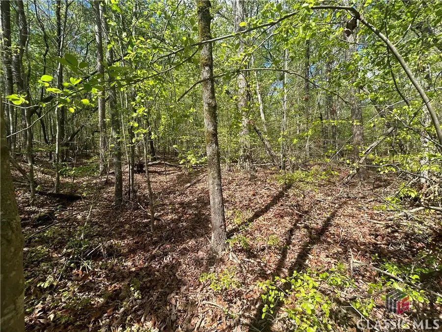 0 Shore Crest Drive #15, Martin, GA 30557 - Image #3