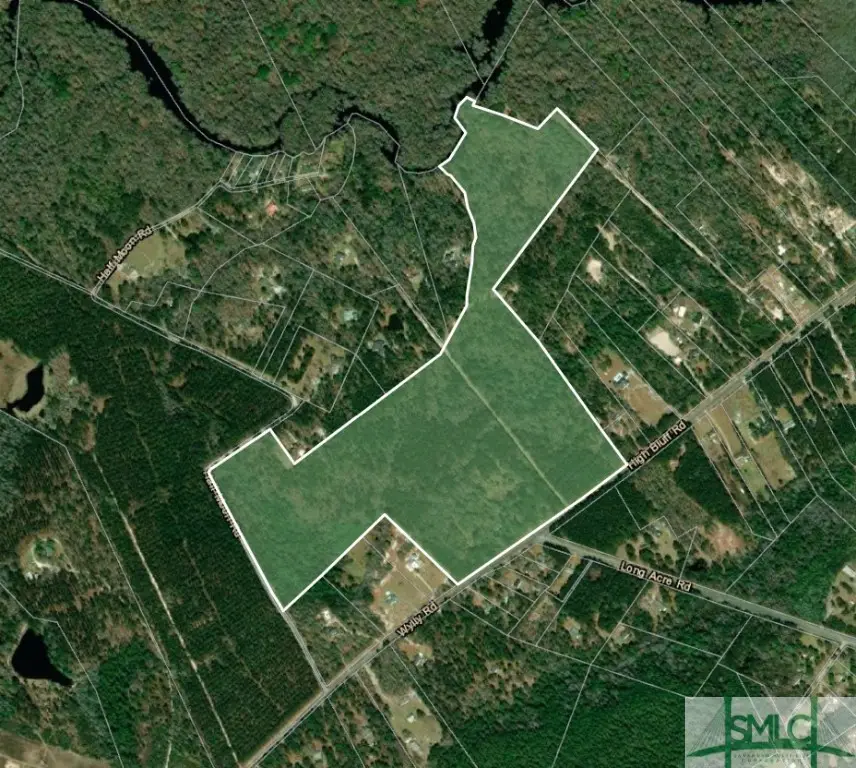 545 Wylly Road, Rincon, GA 31326 - Image #1