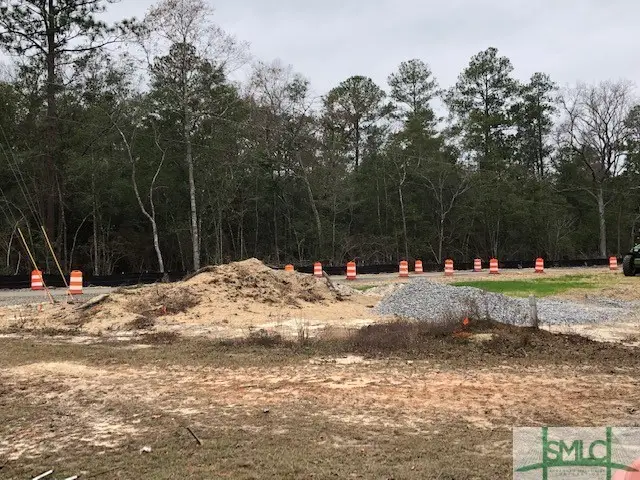 0 Goshen Road, Rincon, GA 31326 - Image #3