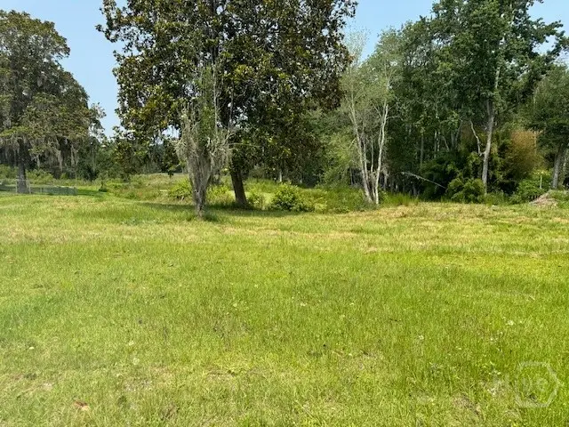 0 Us Hwy 17 Highway, Townsend, GA 31331 - Image #2