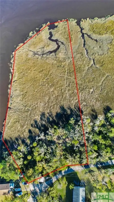 0 Palm Island Drive, Midway, GA 31320 - Image #1