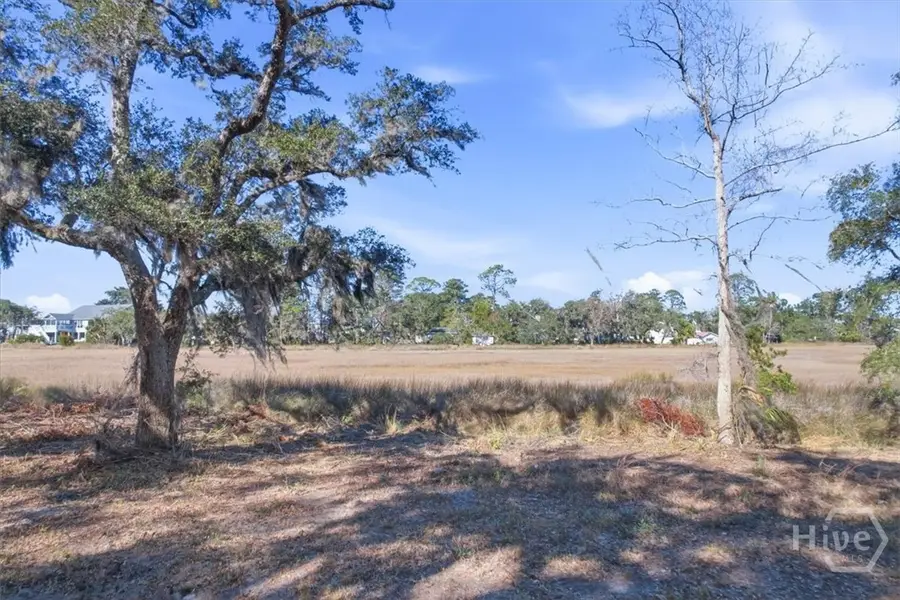 LOT 6 Bermuda Bluff Lane, Midway, GA 31320 - Image #2