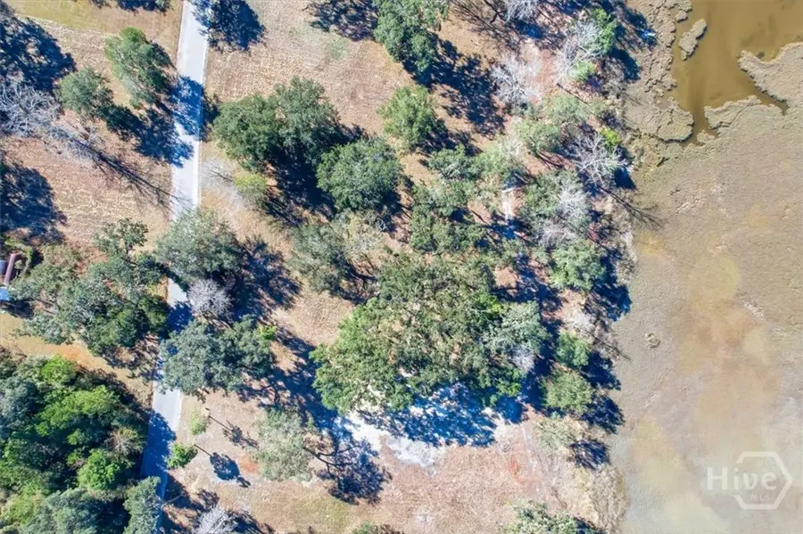 LOT 6 Bermuda Bluff Lane, Midway, GA 31320 - Image #3