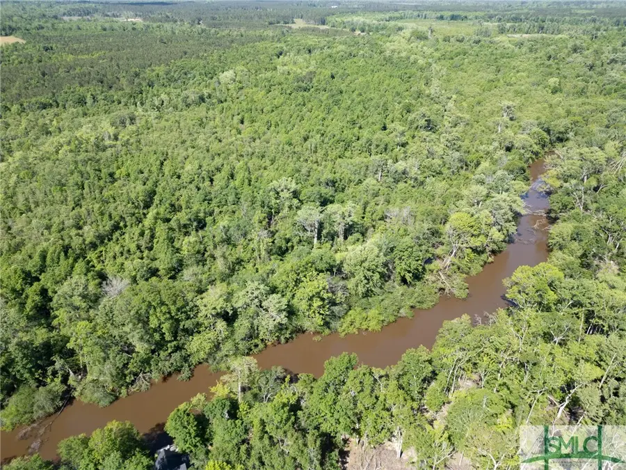 Lot 20 The River Landing Road, Midville, GA 30441 - Image #3