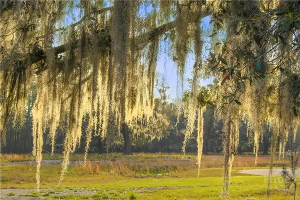 1 William's (36 Lots 95 Acres) Retreat, Savannah, GA 31419