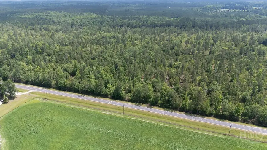 0 Old Louisville Road #Lot 4, Guyton, GA 31312 - Image #3