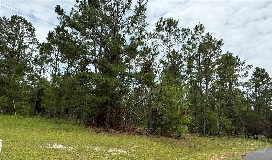 Lot 6 Centerbrook Road, Vidalia, GA 30474 - Image #2