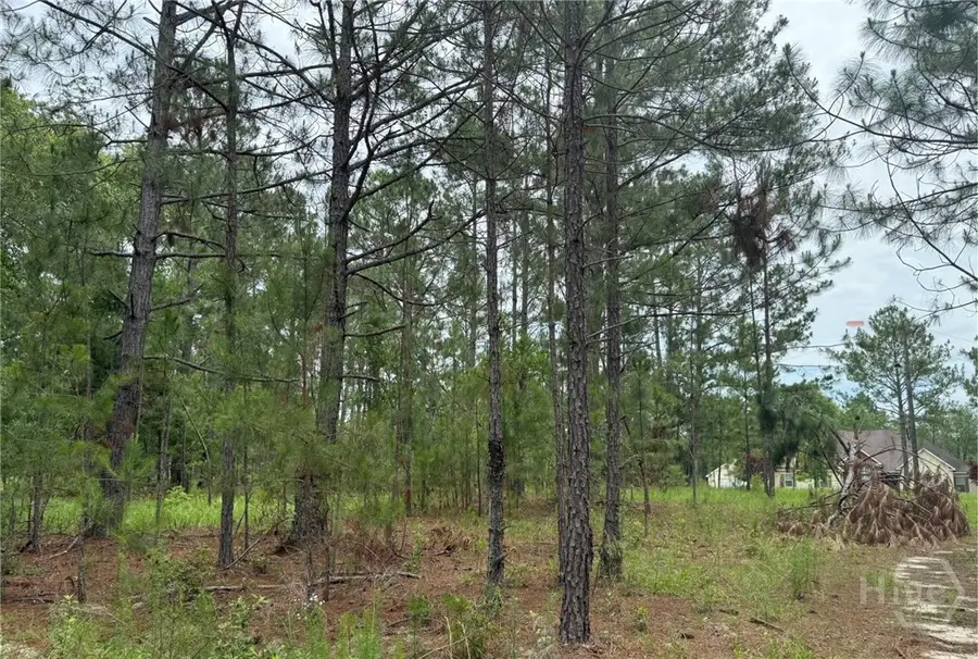 Lot 6 Centerbrook Road, Vidalia, GA 30474 - Image #3