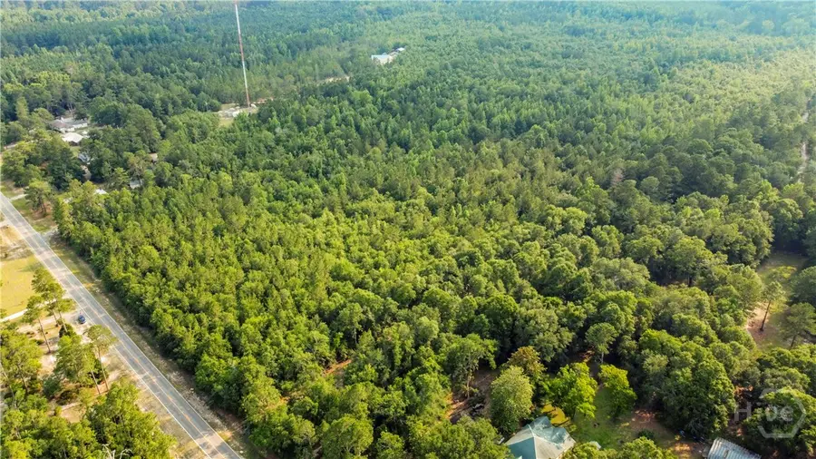 0 Halcyondale Road, Sylvania, GA 30467 - Image #3