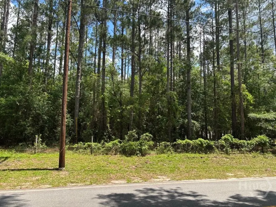 307 Arden Loop Circle, Ellabell, GA 31308 - Image #2