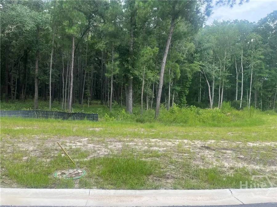 154 Wood Haven Lane, Pooler, GA 31322 - Image #2