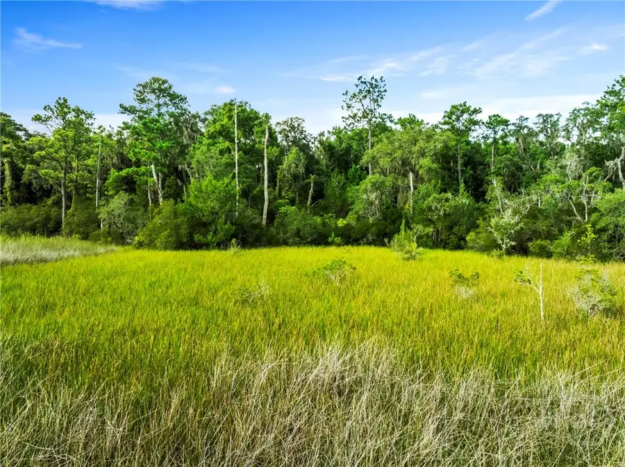 3 & M3 Big Oak Road, Riceboro, GA 31323 - Image #3