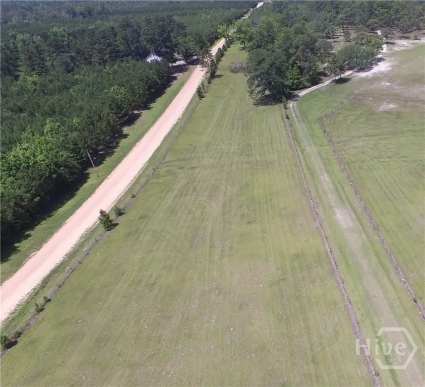 Lot 1 Ben Grady Collins Road, Portal, GA 30450 - Image #2