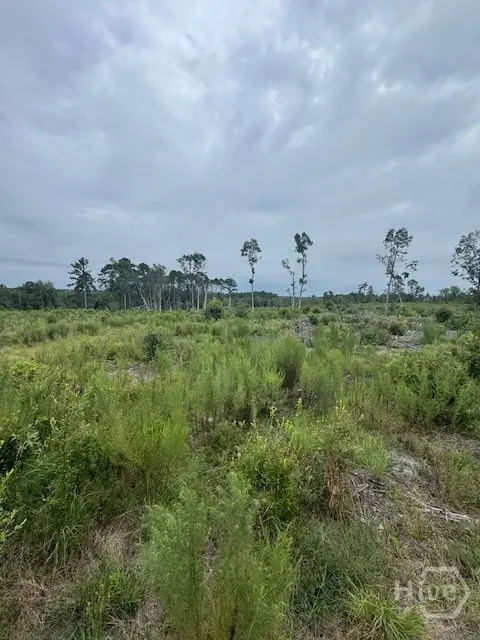 0 Kennedy Bridge Road, Register, GA 30452